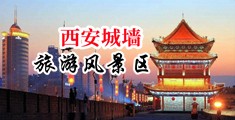 日本女人体内射精一一毛茸茸中国陕西-西安城墙旅游风景区